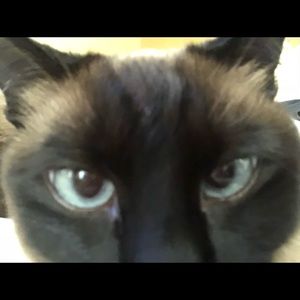 Meet your Posher, Julieanna